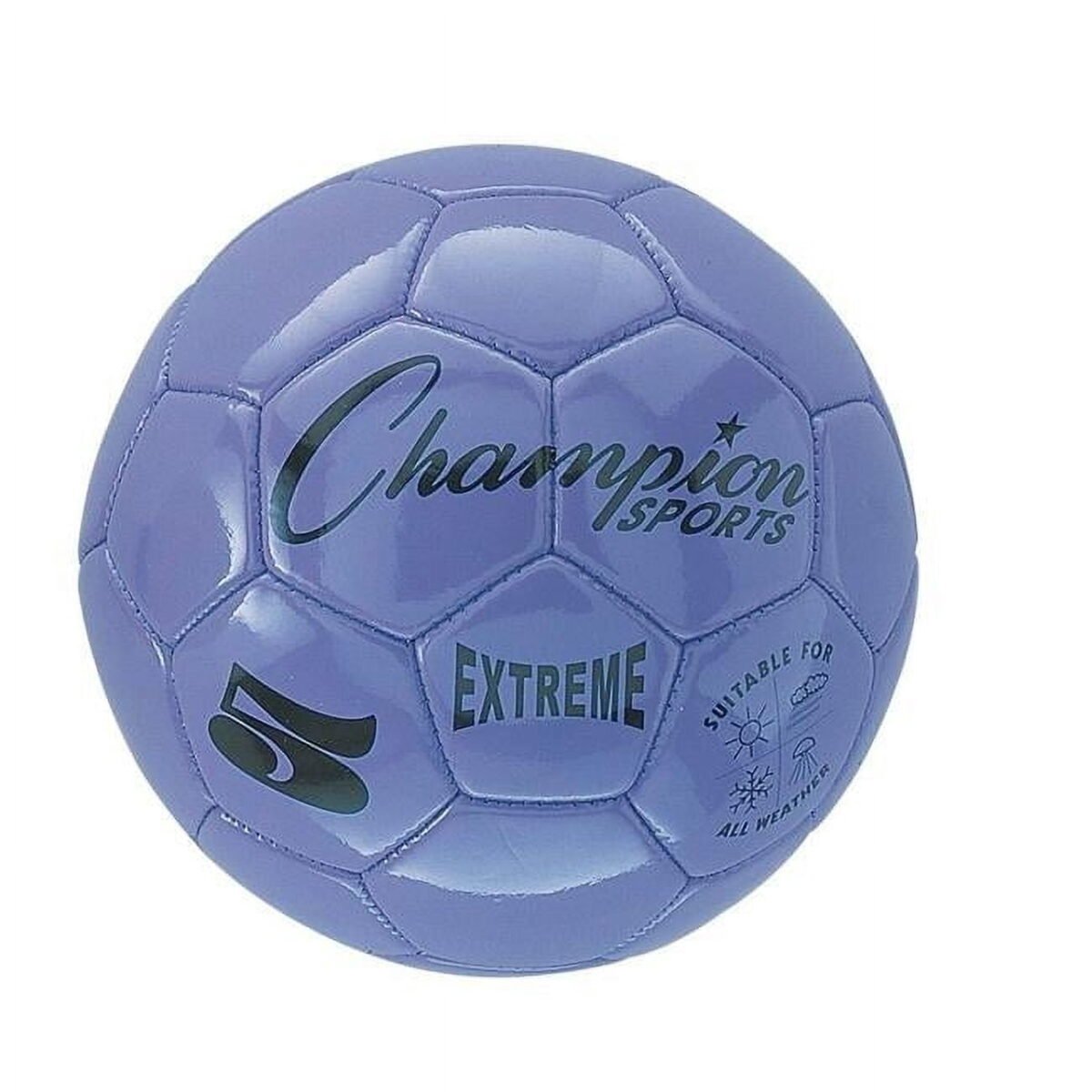 Champion Sports Training Soccer Ball Size 5